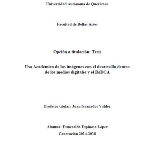 ReDCAAcademico000040-Portada.JPG