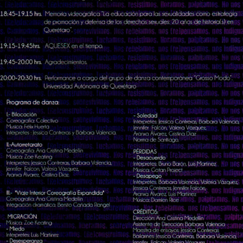 Presentacion Aquesex-Programa-ReDCAGrossomodo-000167.jpg