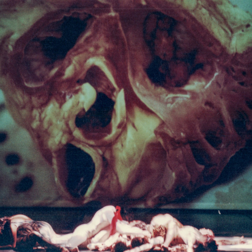 En tu cuerpo-Registro-ReDCAGrossomodo-000313-10.jpg