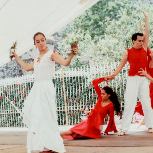 Sin titulo 2-Registro-ReDCAGrossomodo-000303-9.jpg