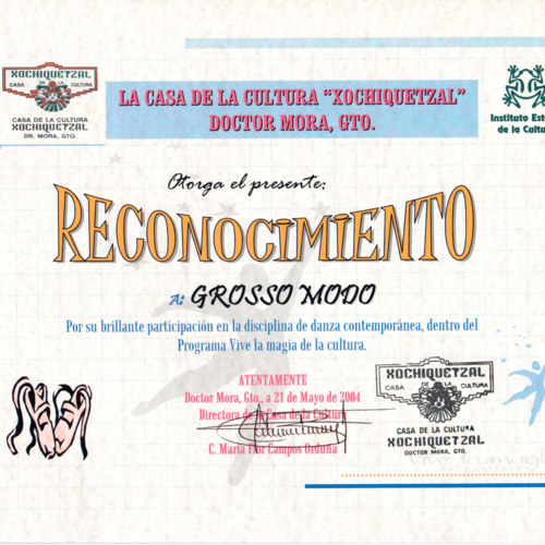 Participacion en Programa Vive la magia de la cultura-Reconocimiento-ReDCAGrossomodo-000108.jpg
