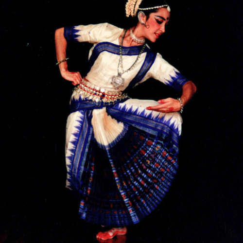 Curso hindu-Registro-ReDCAGrossomodo-000314.jpg