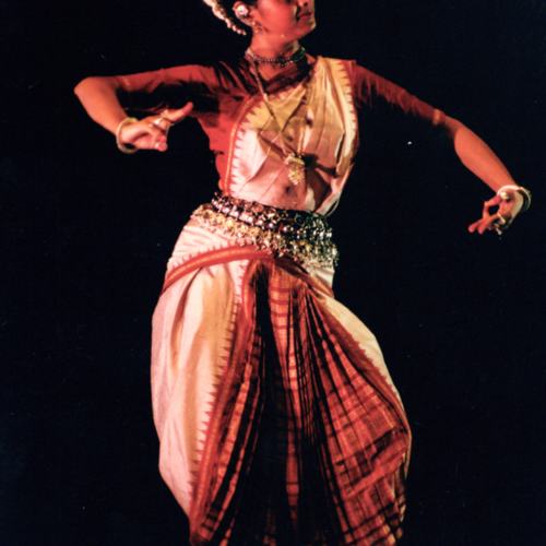 Curso hindu-Registro-ReDCAGrossomodo-000314-3.jpg