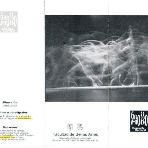 Triptico informativo Grosso Modo-Folleto-ReDCAGrossomodo-000142.jpg