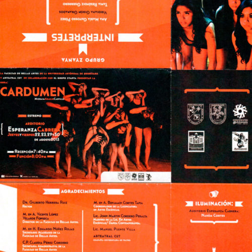 Cristina Medellin-Presentacion obra Cardumen-Programa-ReDCAGrossomodo-000166.jpg