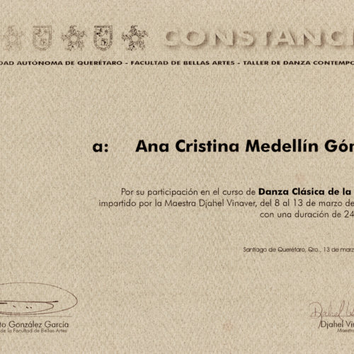 Cristina Medellin-Danza Clasica de la India-ReDCAGrossomodo-000378.jpg