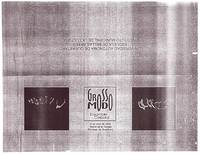 Grosso Modo, Ensamble Corporal-Programa-ReDCAGrossomodo-000048.jpg