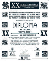 Participacion en XX Festival Internacional de danza contemporanea-Reconocimiento-ReDCAGrossomodo-000274.jpg