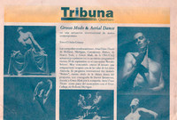 Presentacion con Aerial Dance Theatre-Nota periodistica-ReDCAGrossomodo-000247.jpg