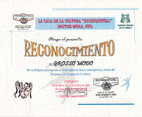 Participacion en Programa Vive la magia de la cultura-Reconocimiento-ReDCAGrossomodo-000108.jpg