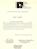 Curso de Especializacion en Tecnica Contemporanea-Cristina Medellin-Reconocimiento-ReDCAGrossomodo-000384.jpg