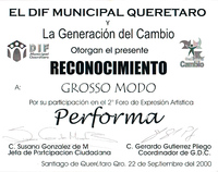 Participacion en Performa-Reconocimiento-ReDCAGrossomodo-000267.jpg