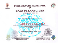 Participacion en Valle de Santiago-Reconocimiento-ReDCAGrossomodo-000238.jpg