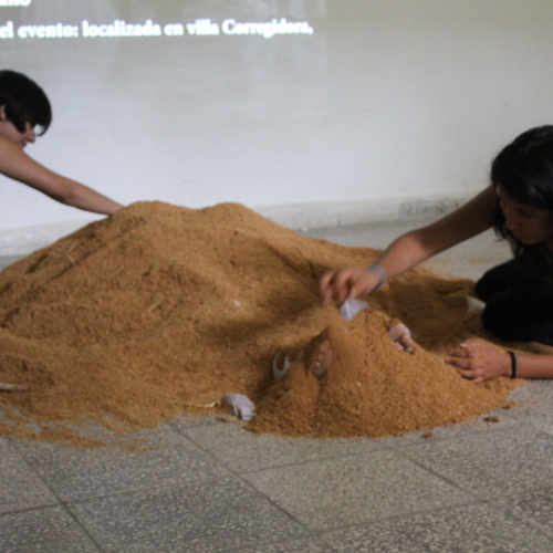 ReDCALPG000191 (13).JPG