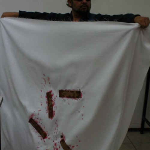 ReDCALPG000227-2.JPG