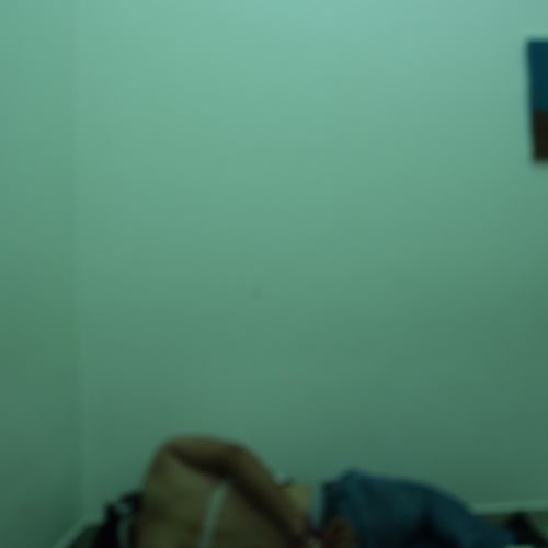 ReDCALPG000054.2.JPG