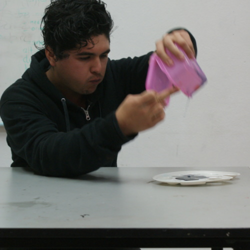 ReDCALPG000040.7.JPG