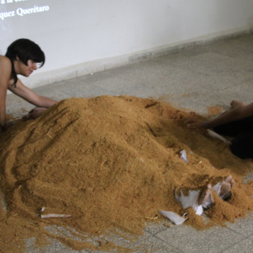 ReDCALPG000191 (10).JPG